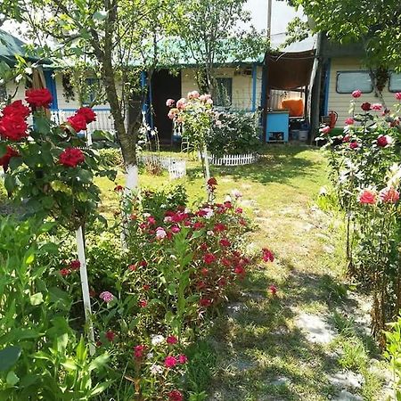 Camping Casuta Mihaela Crisan  Bagian luar foto