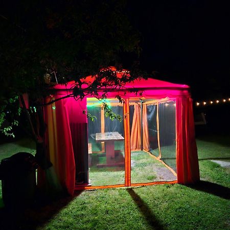 Camping Casuta Mihaela Crisan  Bagian luar foto