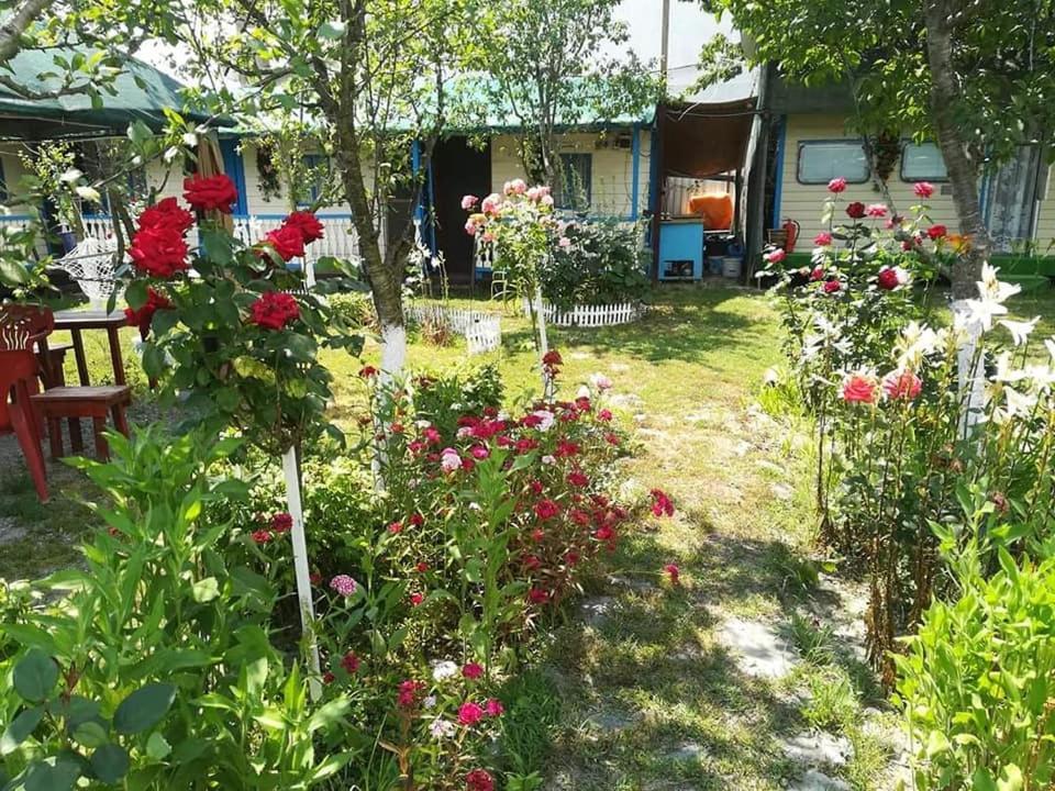 Camping Casuta Mihaela Crisan  Bagian luar foto