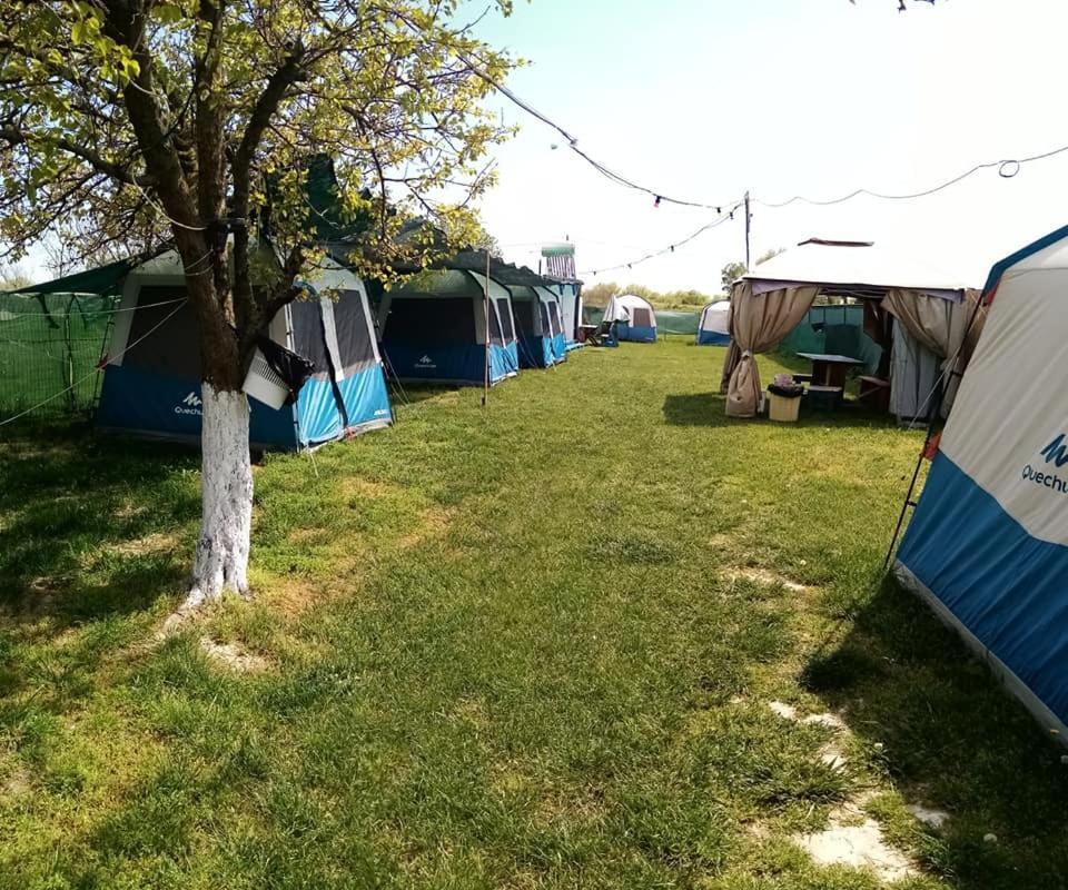 Camping Casuta Mihaela Crisan  Bagian luar foto