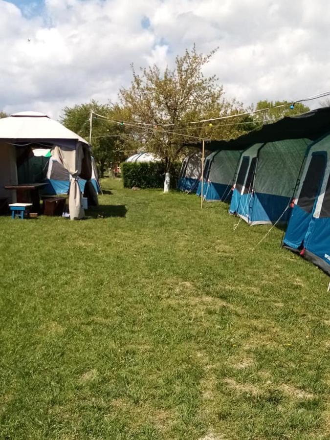 Camping Casuta Mihaela Crisan  Bagian luar foto