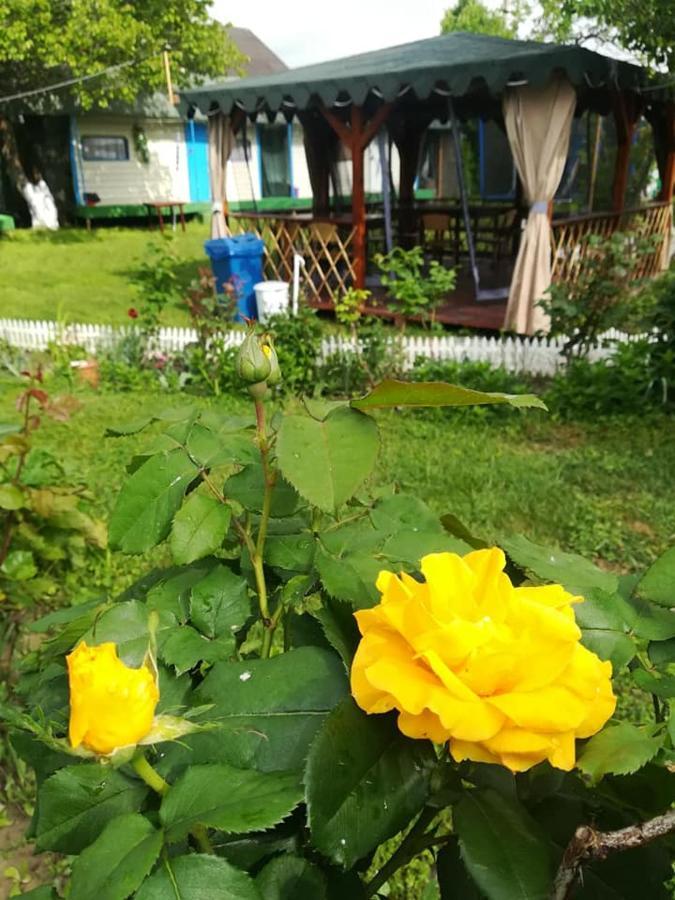 Camping Casuta Mihaela Crisan  Bagian luar foto