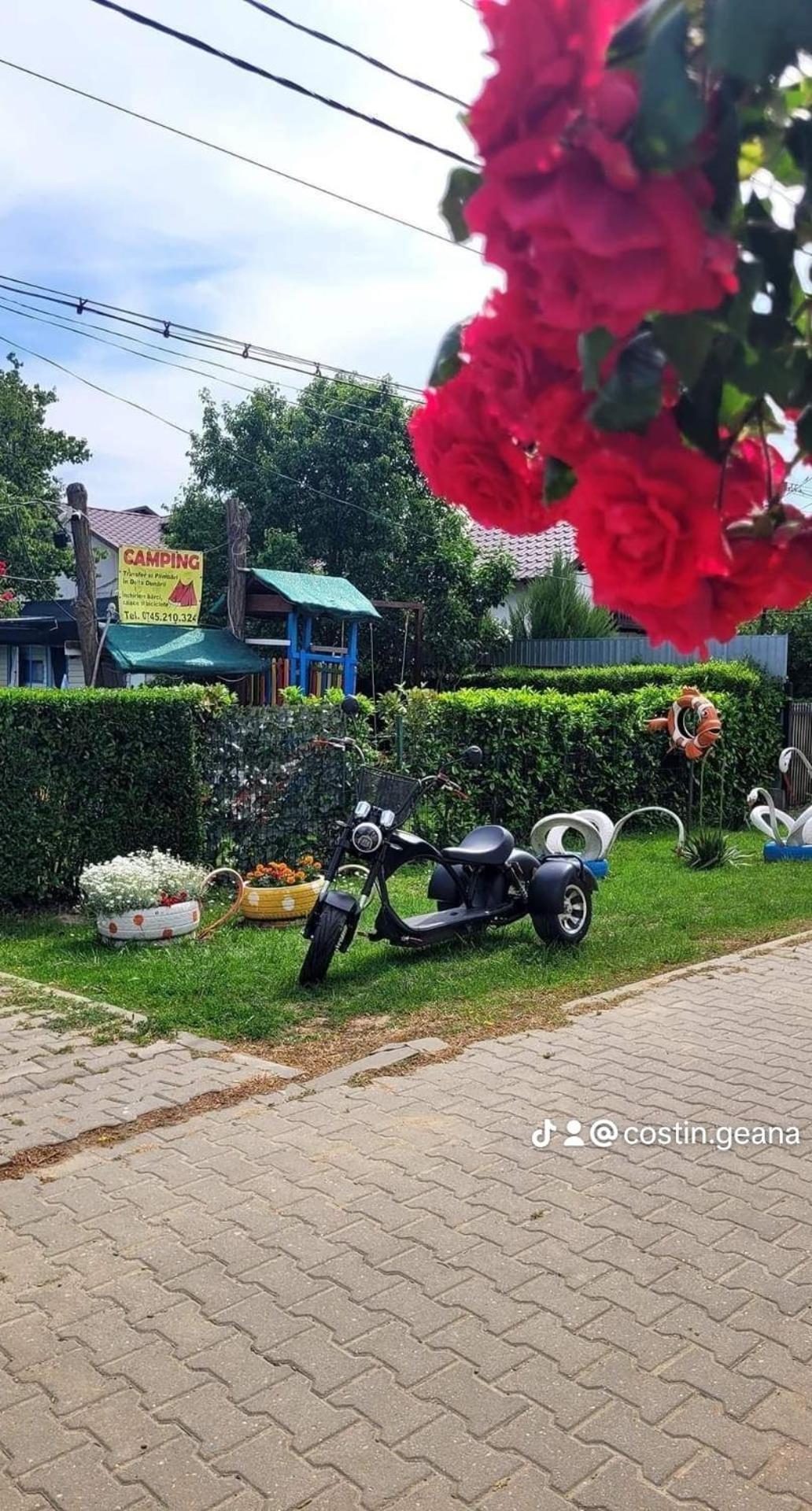 Camping Casuta Mihaela Crisan  Ruang foto