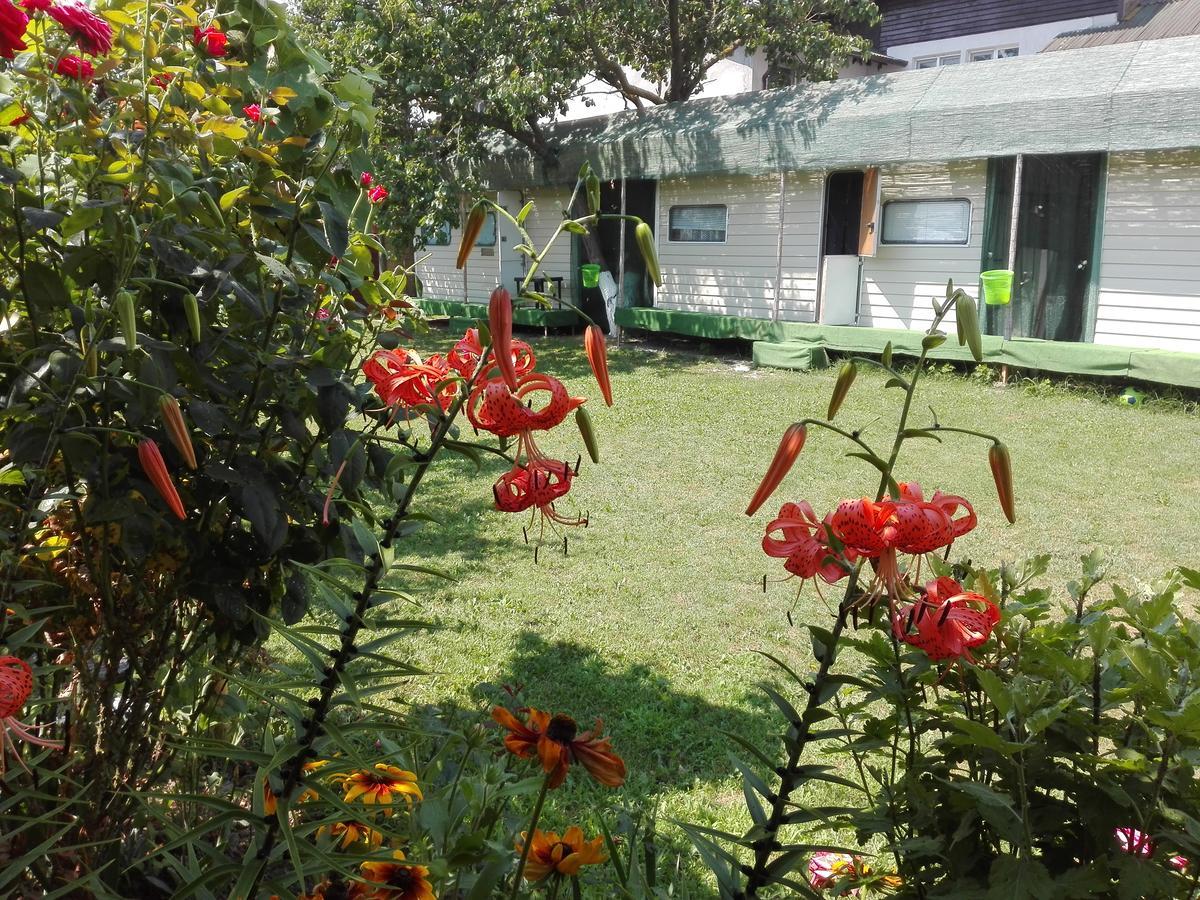 Camping Casuta Mihaela Crisan  Bagian luar foto