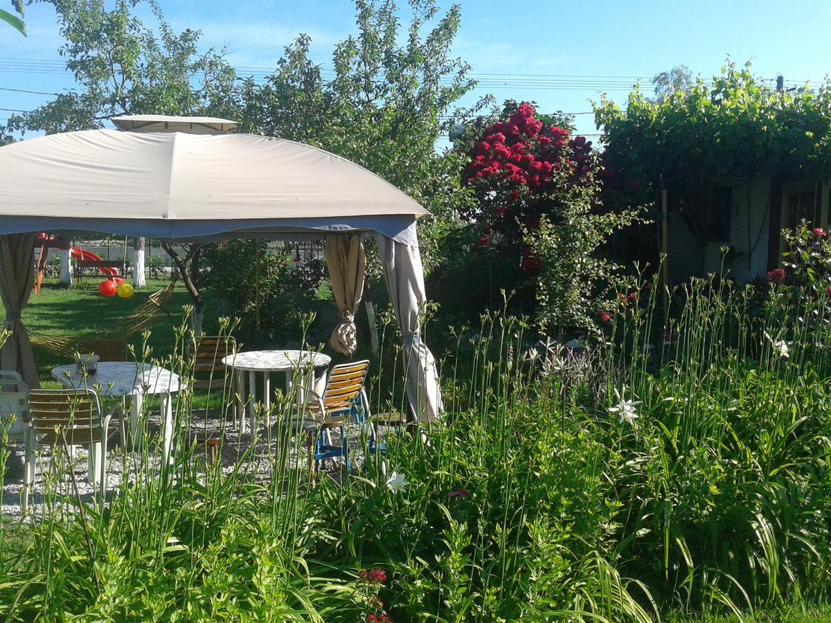 Camping Casuta Mihaela Crisan  Bagian luar foto