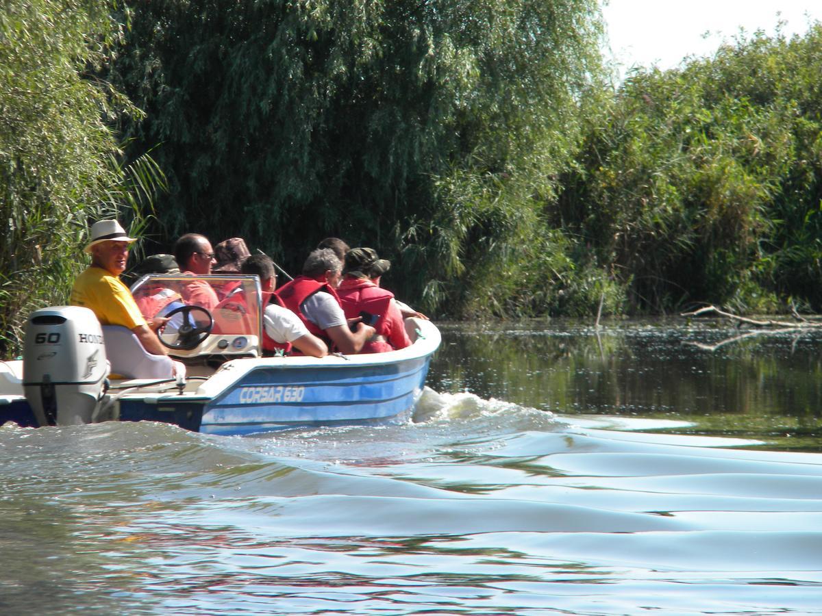 Camping Casuta Mihaela Crisan  Bagian luar foto