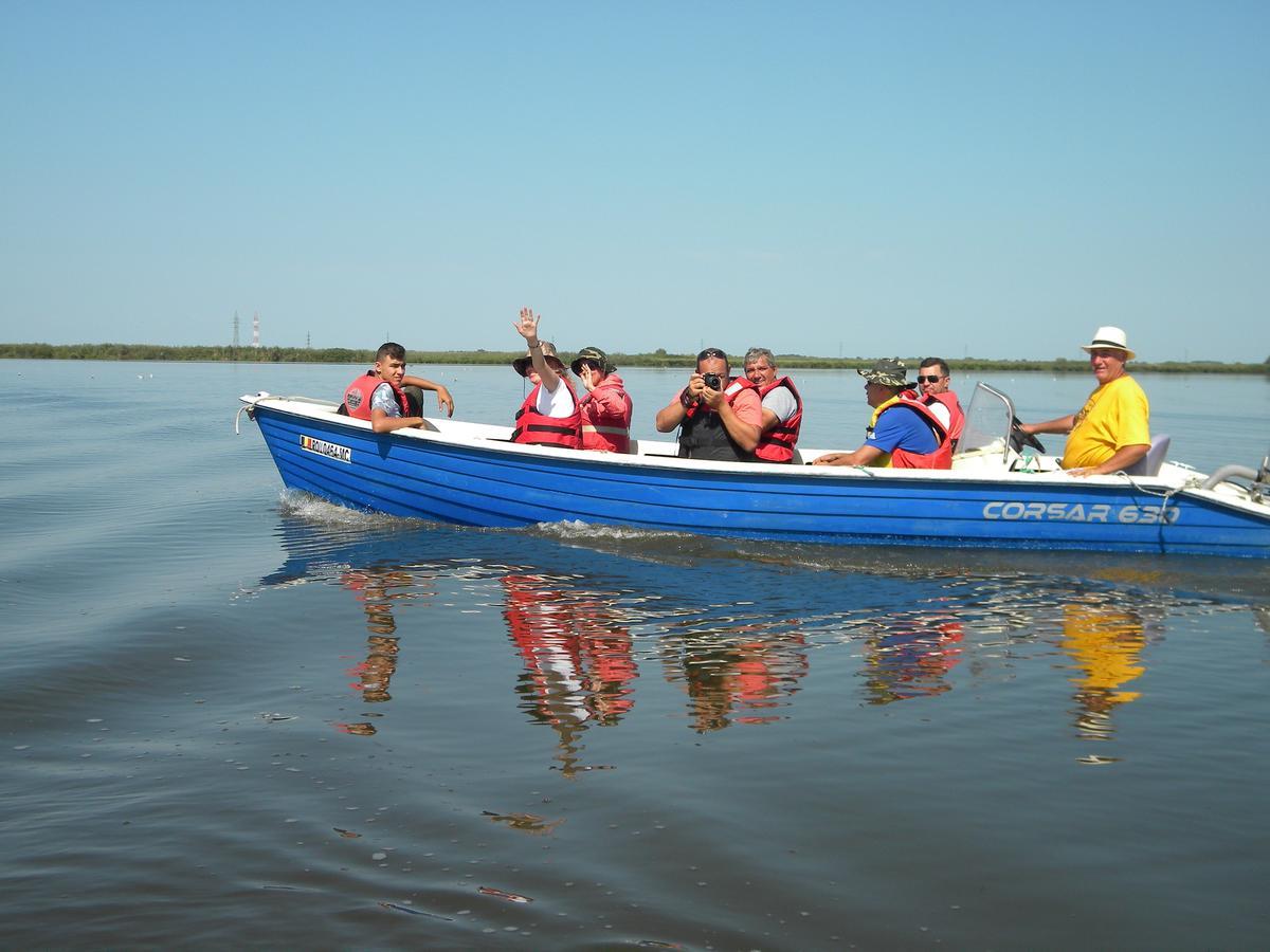 Camping Casuta Mihaela Crisan  Bagian luar foto