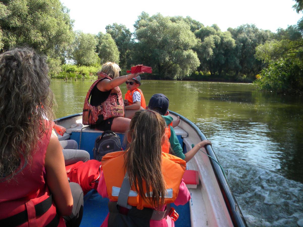 Camping Casuta Mihaela Crisan  Bagian luar foto